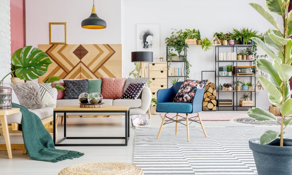 White, open space living room interior with posters, fresh plants and striped carpet